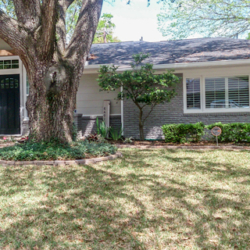 250px9-250x250 Exterior