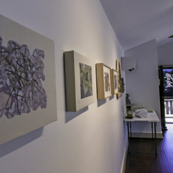 ArtGalInterior800px3-1-3-250x250 Interiors
