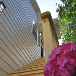 ArtGallery800px4-250x250 Exterior