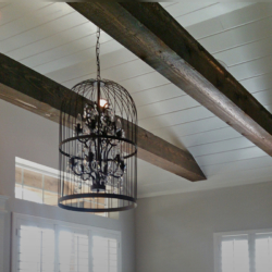 Extraliving800px3-250x250 Interiors